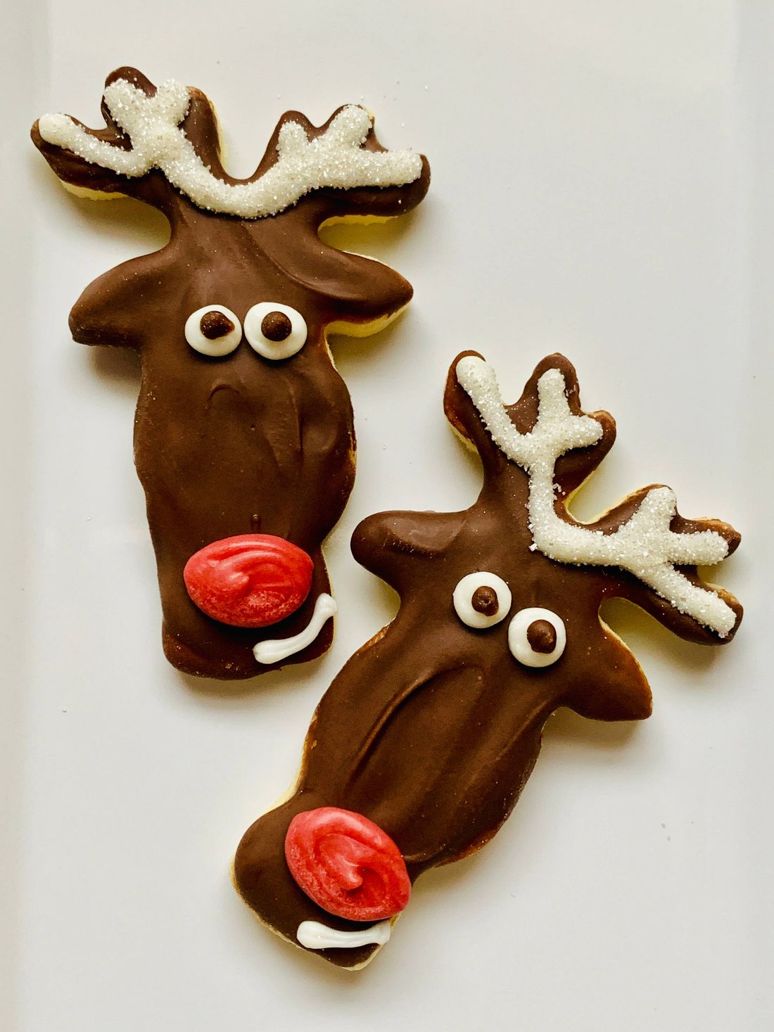 Rudolph — Dog Treats (Case of 12)