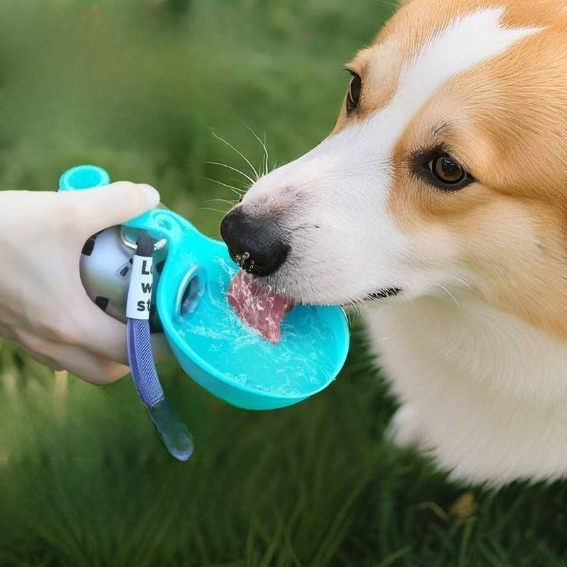 pet water bottle