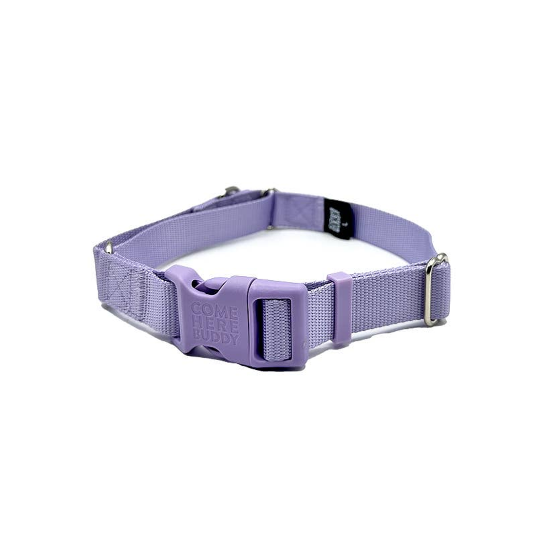 Come Here Buddy Lilac Martingale Dog Collar