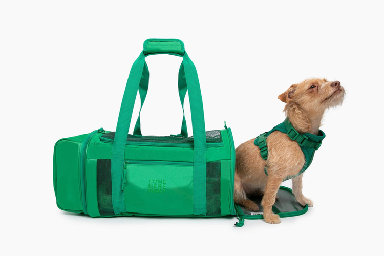 Come Here Buddy Travel Buddy Pet Carrier
