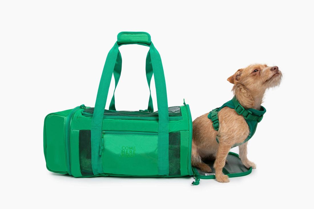 Come Here Buddy Travel Buddy Pet Carrier