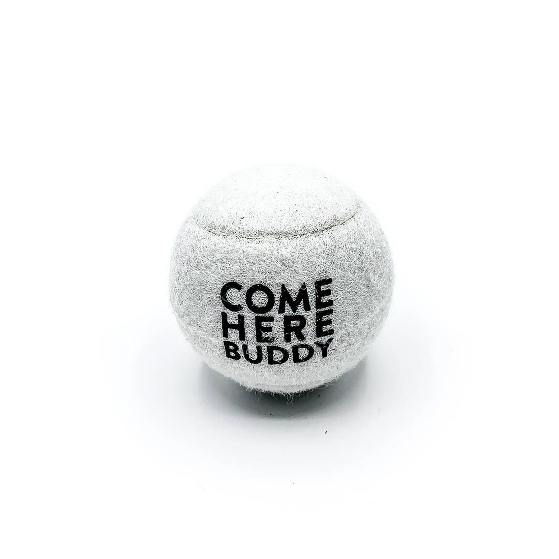 Come Here Buddy Tennis Balls Set of 4 - White