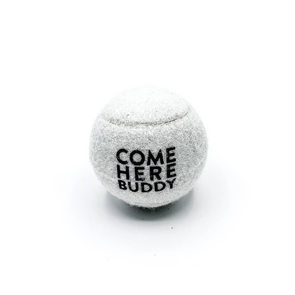 Come Here Buddy Tennis Balls Set of 4 - White