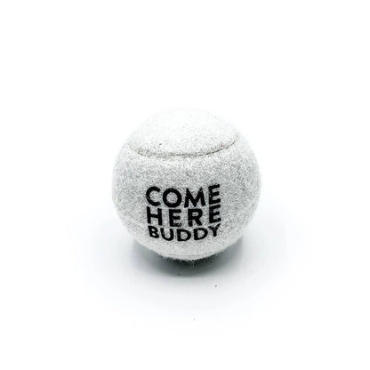 Set of 4 Come Here Buddy Tennis Balls in White