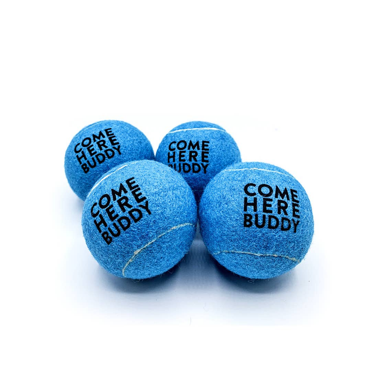 Come Here Buddy Tennis Balls Set of 4 - Sky Blue