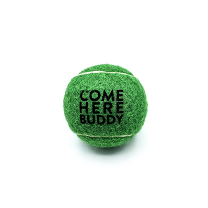 Come Here Buddy Tennis Balls Set of 4 - Green