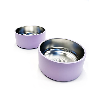 Come Here Buddy Lilac Stainless Steel Dog Bowl