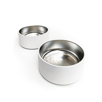 Come Here Buddy White Stainless Steel Dog Bowl