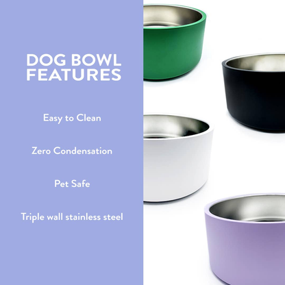 Come Here Buddy White Stainless Steel Dog Bowl