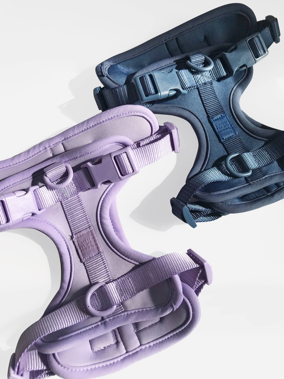 Come Here Buddy Adjustable Cushioned Dog Harness