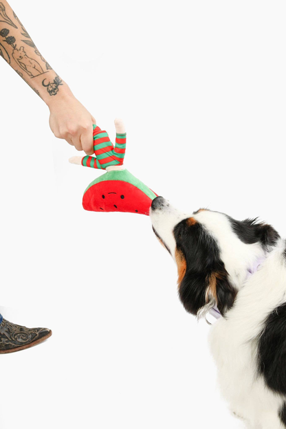 Come Here Buddy Watermelon Nosework Dog Toy