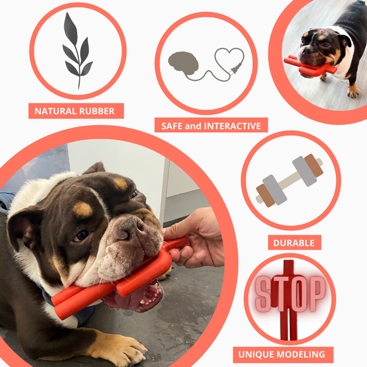 Natural Rubber Dog Chew Toy