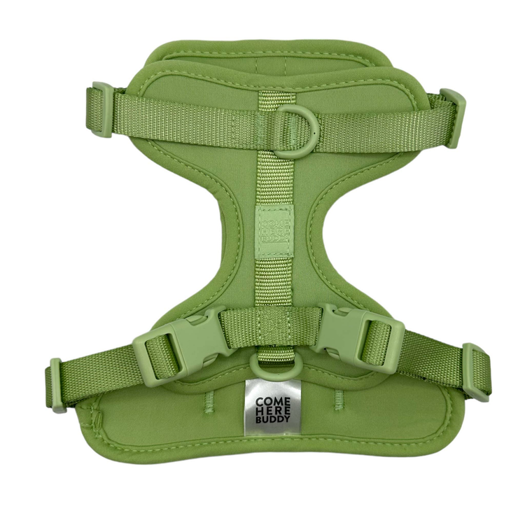 Come Here Buddy Mint Green Dog Harness