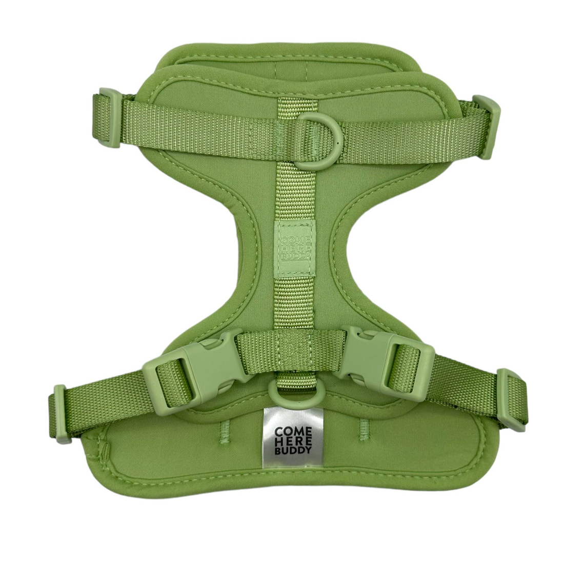 Come Here Buddy Mint Green Dog Harness