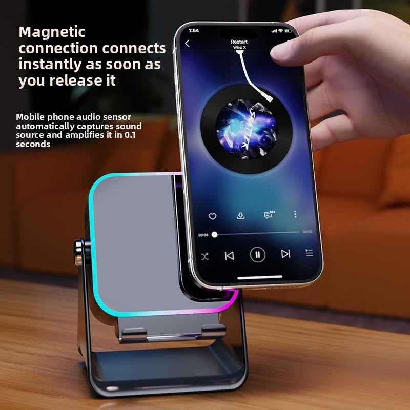 Wireless Induction Speaker