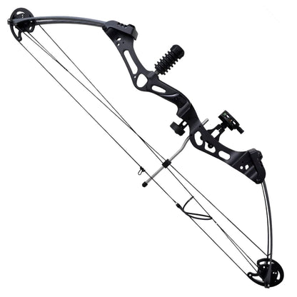 Adult Compound Bow Set with Fiberglass Arrows Accessories