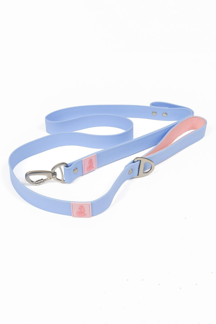 Blue Sky Orchid Waterproof Dog Leash