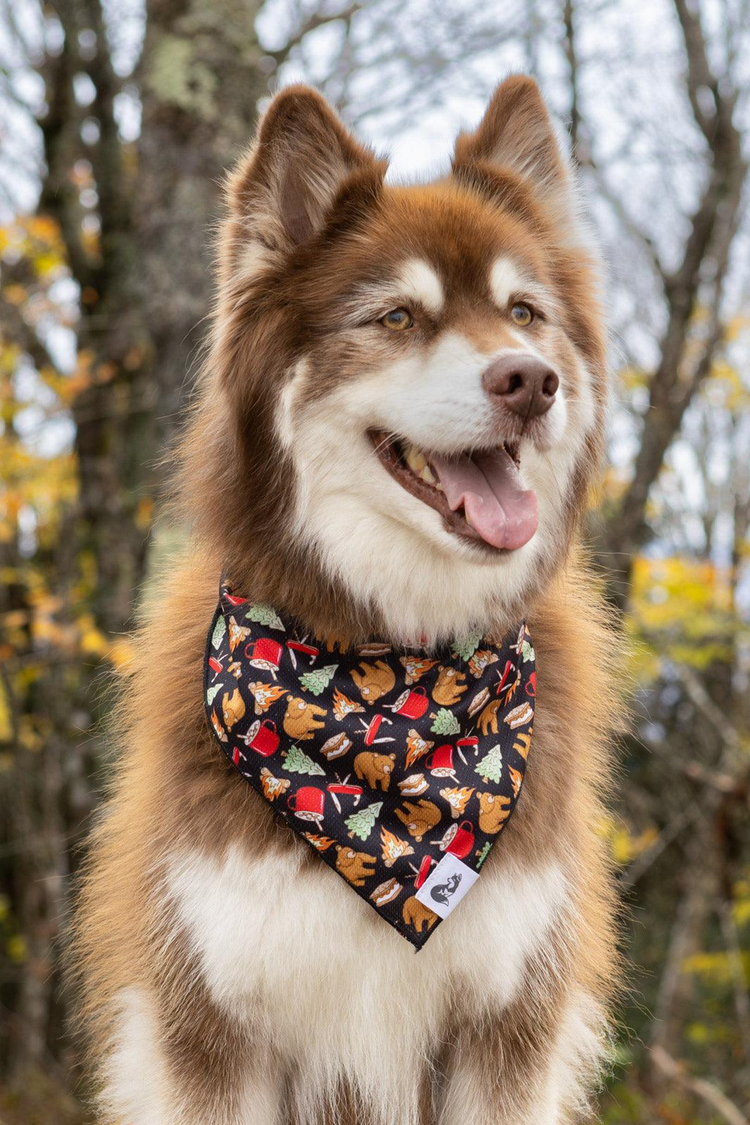 Woodland Tales Dog Bandana & Keychain Set