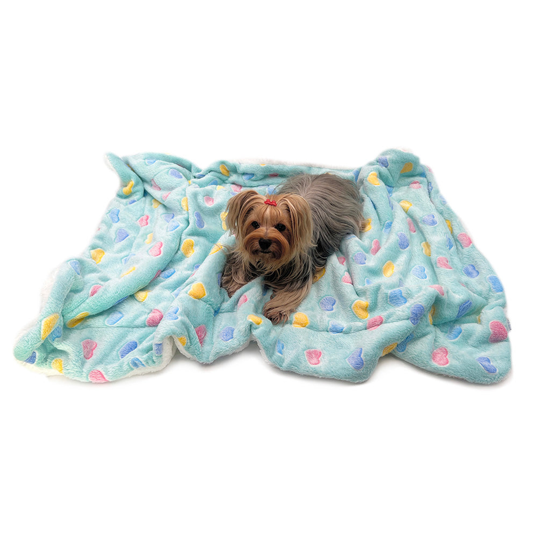 Ultra Plush Colorful Hearts Dog Blanket