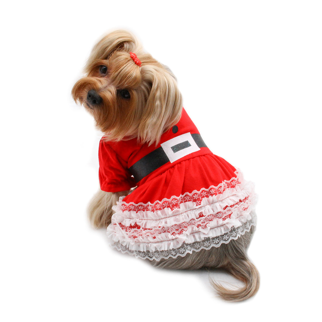 Lace Ruffles Puffy Sleeves Christmas Dog Dress
