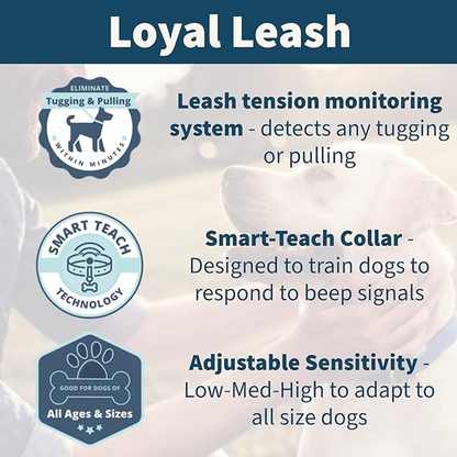 Hetzer Loyal Smart Dog Leash