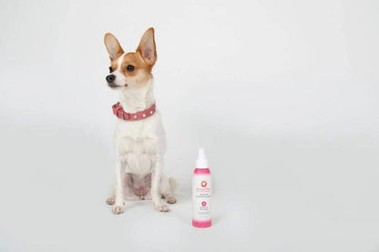4.5 Oz. Dog Coat Spray Geranium Sage