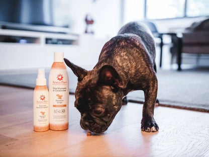 4.5 Oz. Dog Coat Spray Mandarin Ginger