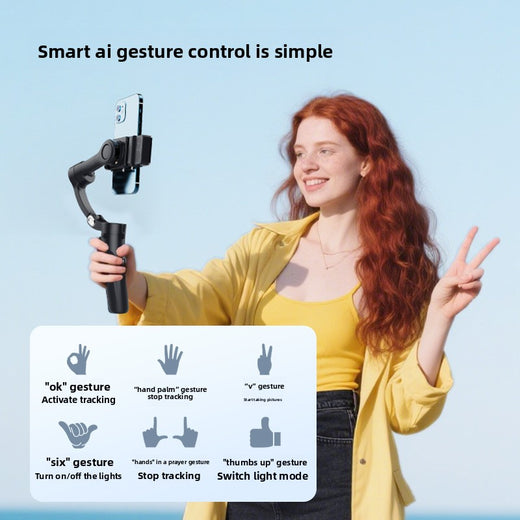 gimbal stabilizer