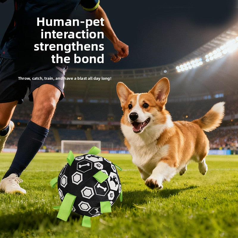 Interactive Durable Football