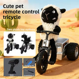 Remote Control Car