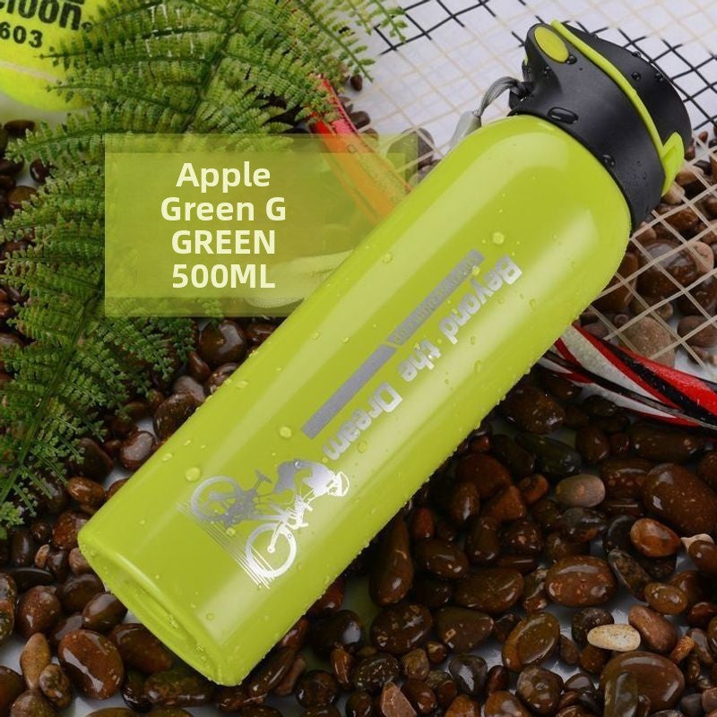 Insulated Water Bottle