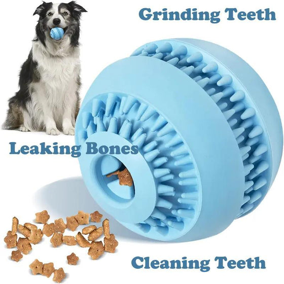 Dog with a blue treat ball and treats spilling out