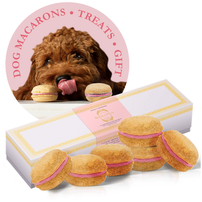 Bonne et Filou Dog Macarons - Box of 6
