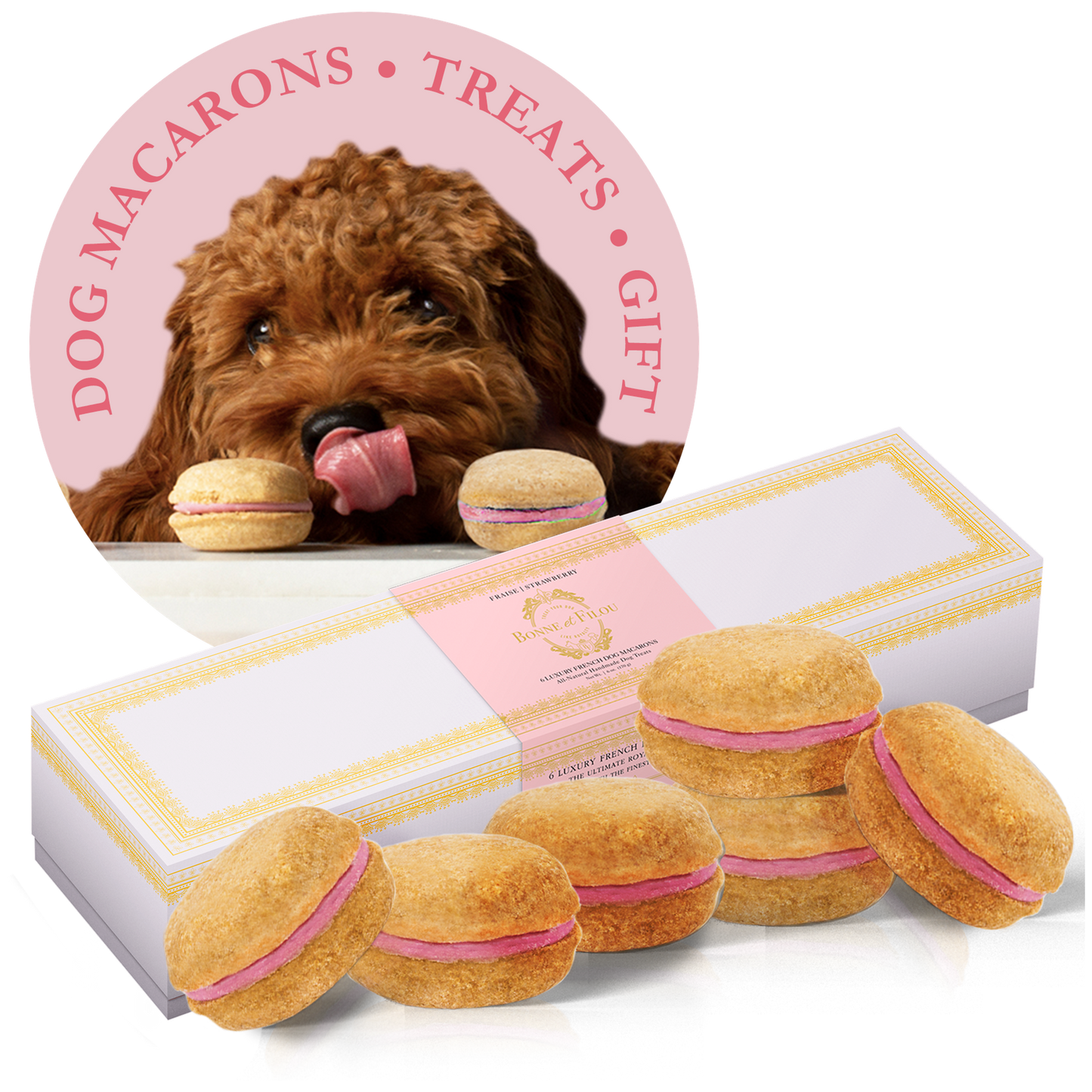 Bonne et Filou Dog Macarons - Box of 6