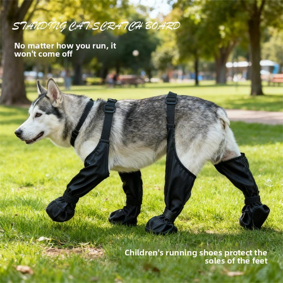 Husky wearing black leg covers with straps on a lawn