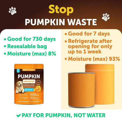 Pumpkin Powder for Dogs Digestive Support