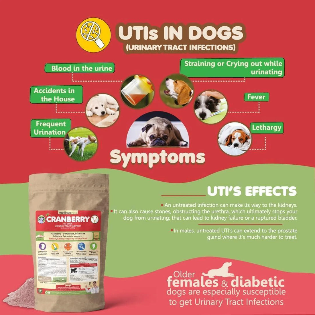 Dog Cranberry Supplement Natural Dog UTI Treatment & Kidney Support for Dogs
