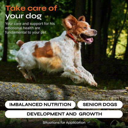 15 in 1 Multivitamin Chews Joint Supplement for Dogs