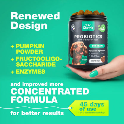 Probiotics for Dogs Gut Health Digestion