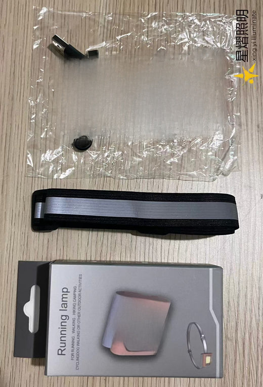 Magnetic charging light