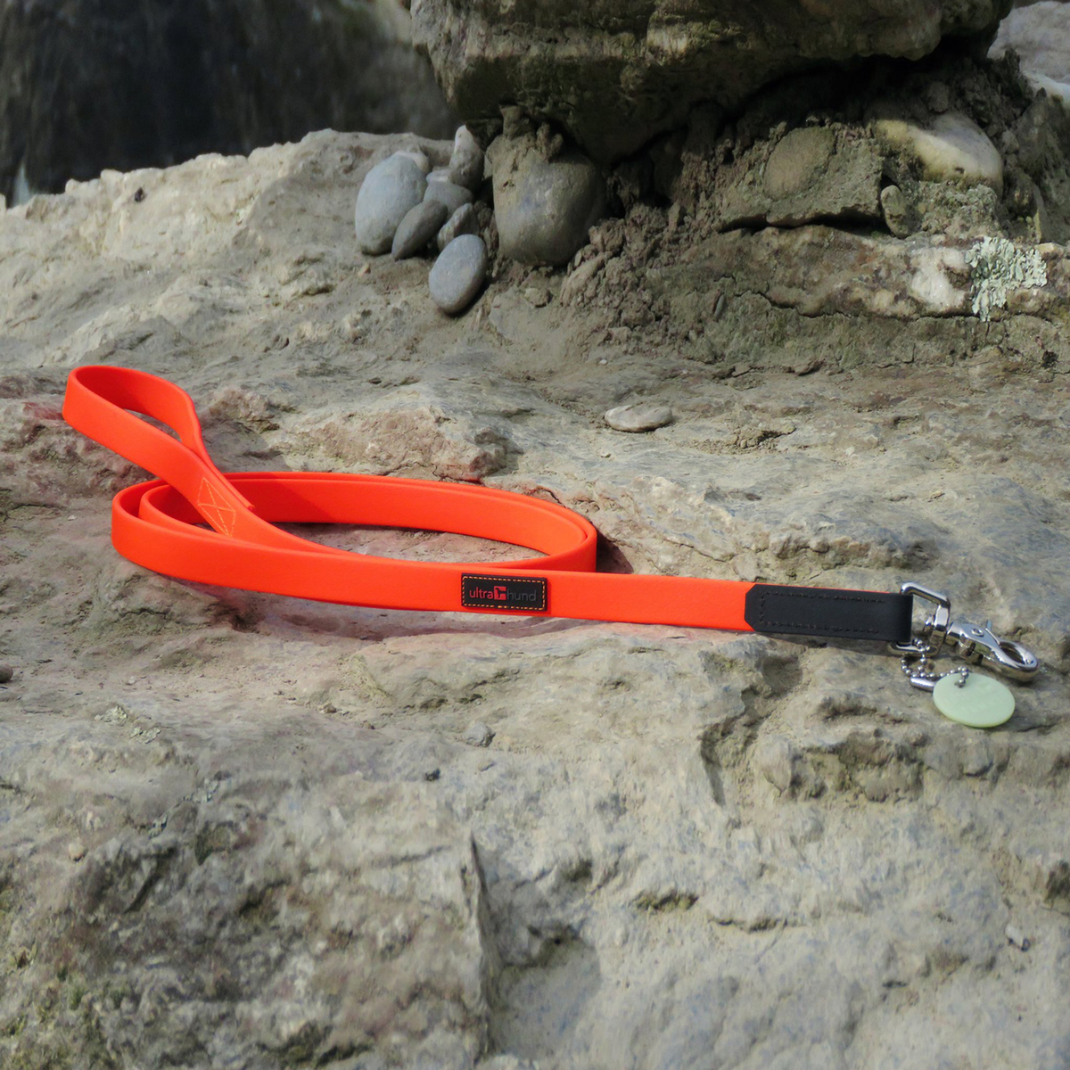 Ultrahund Boss Regular Dog Leash - 6 ft