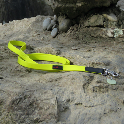 Ultrahund Boss Regular Dog Leash - 6 ft