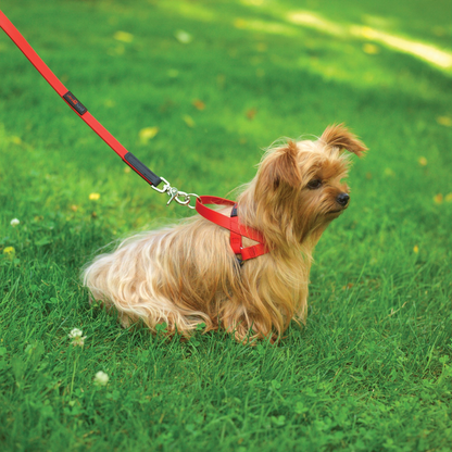 Ultrahund Boss Regular Dog Leash - 6 ft
