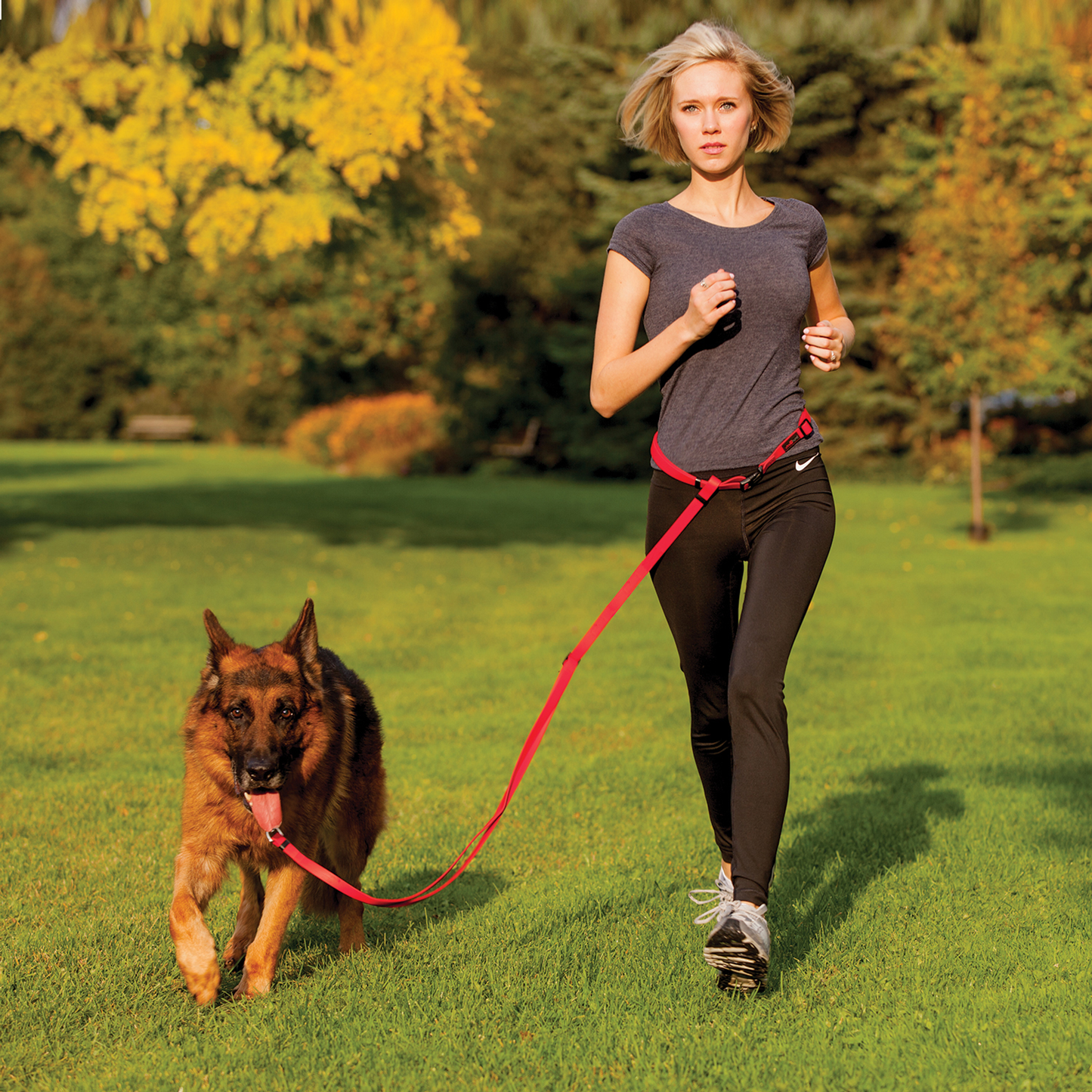Ultrahund Boss Adjustable Dog Leash