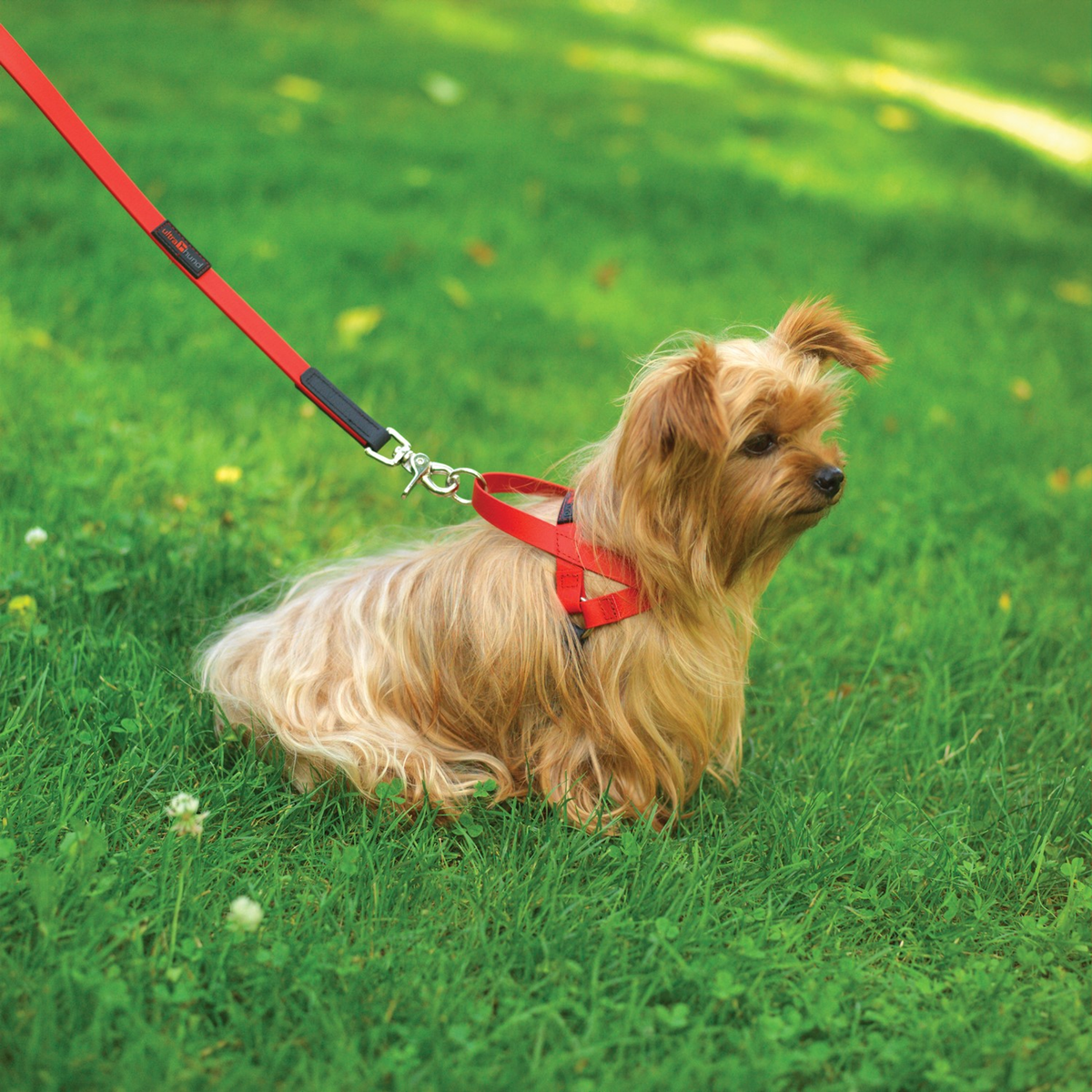 Ultrahund Freedom No-Pull Dog Harness