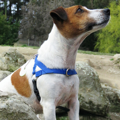 Ultrahund Freedom No-Pull Dog Harness