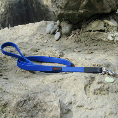 Ultrahund Boss Regular Dog Leash - 6 ft