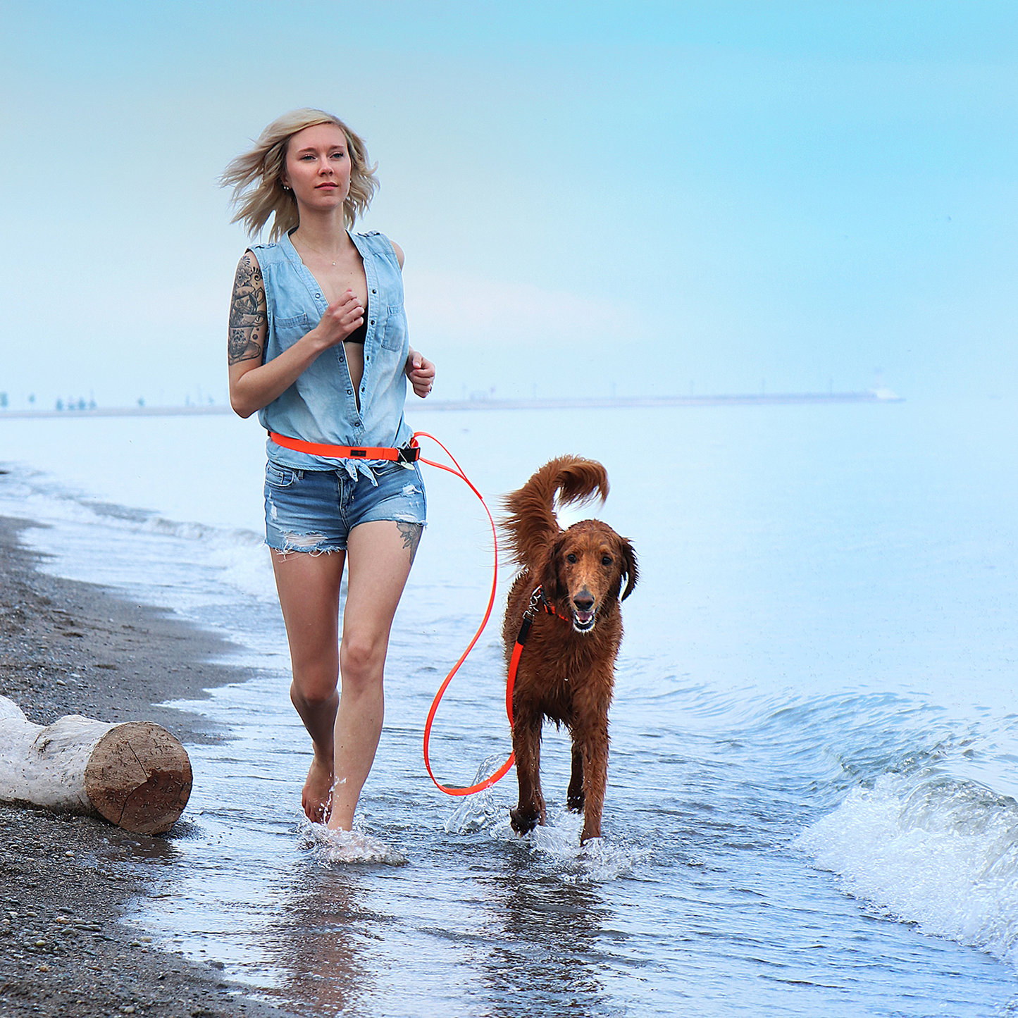 Ultrahund Boss Regular Dog Leash - 6 ft