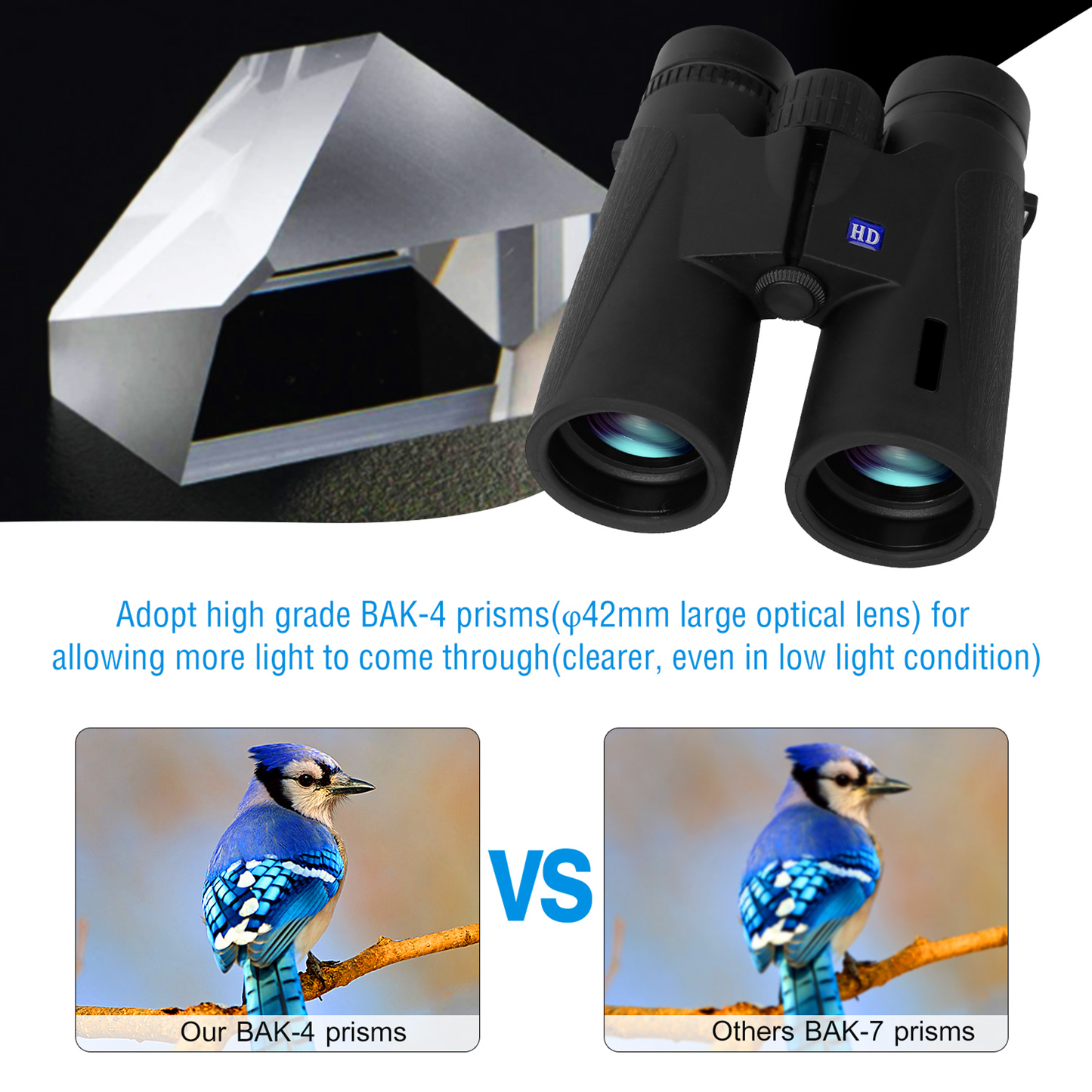 12x42 Binoculars with 374 ft Field of View