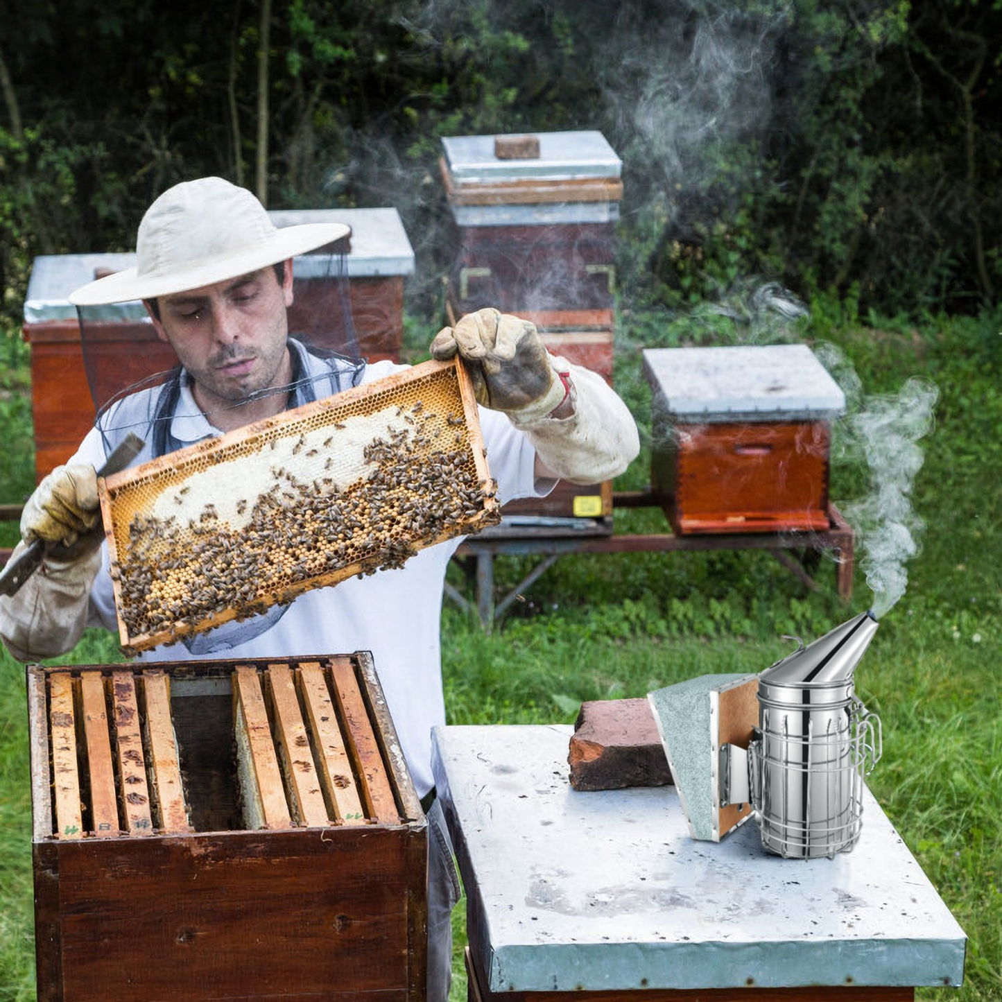 Bee Hive Smoker 11-Inch Heavy Duty Stainless Steel
